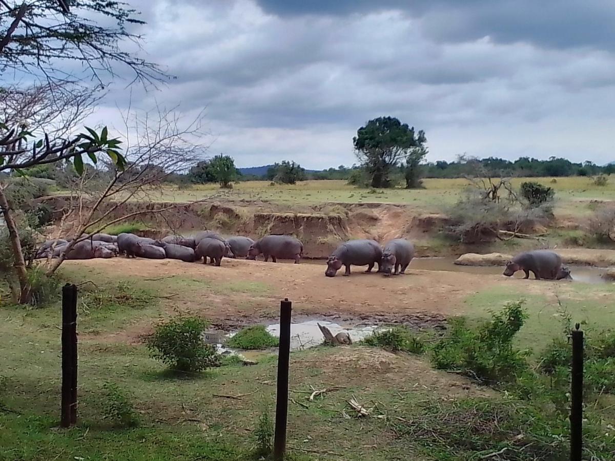 Mara River Lodge Aitong Eksteriør bilde