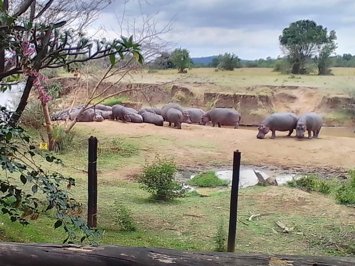 Mara River Lodge Aitong Eksteriør bilde