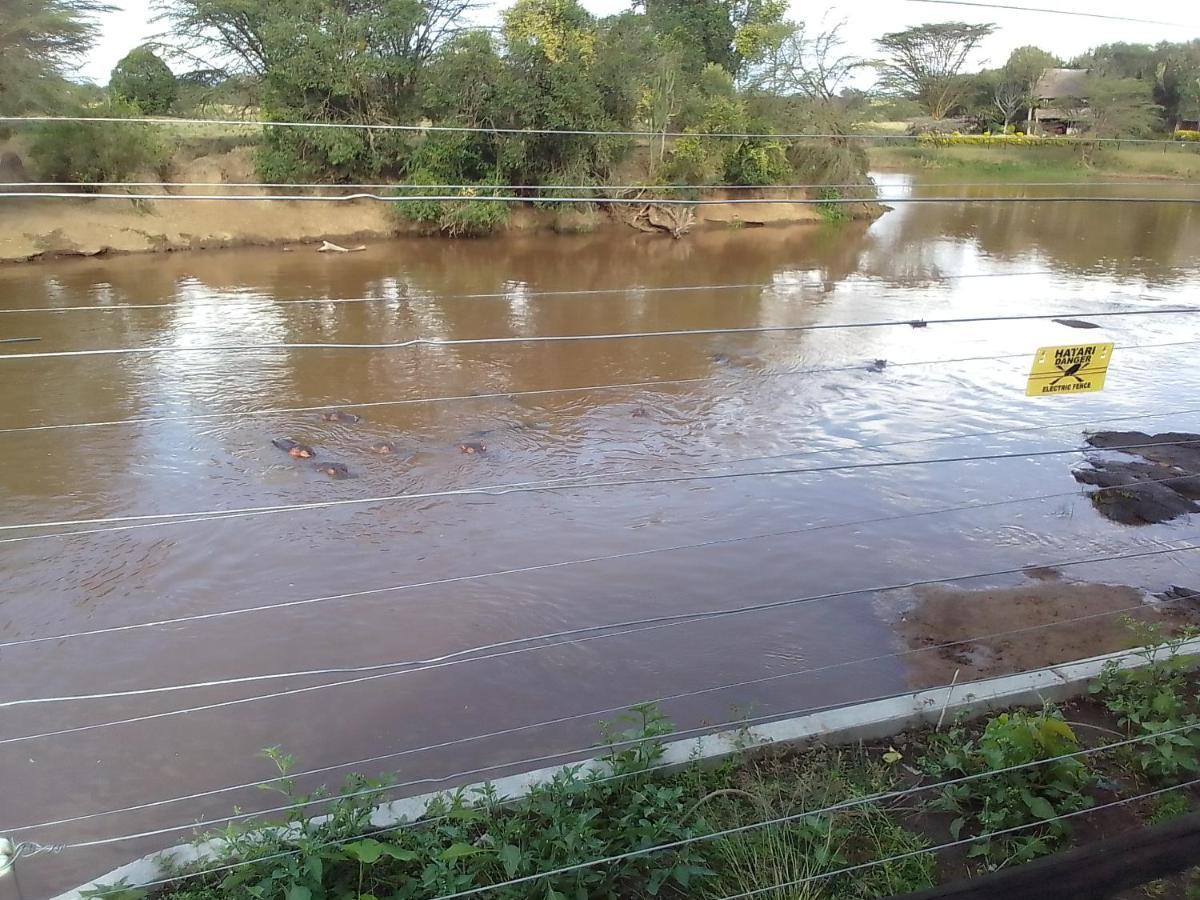 Mara River Lodge Aitong Eksteriør bilde
