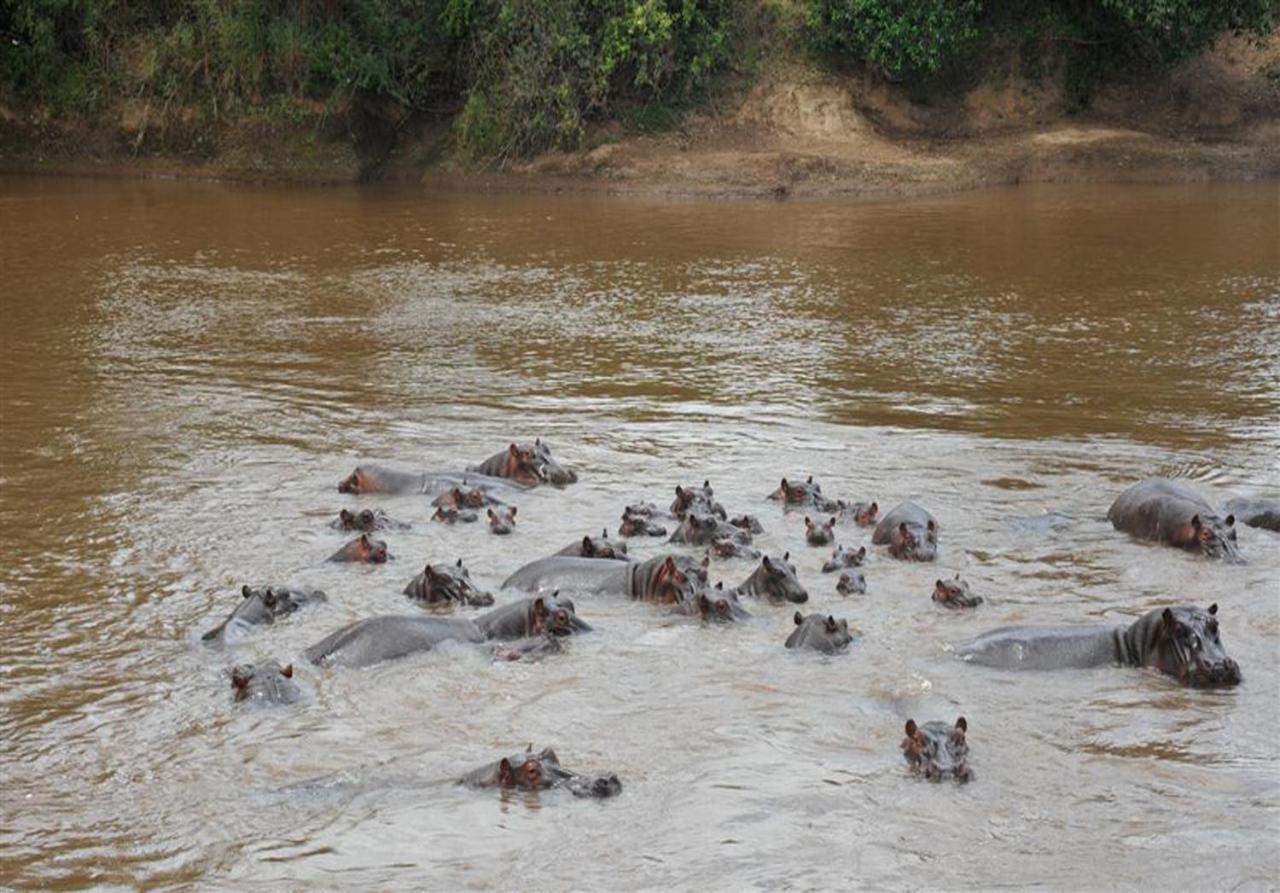 Mara River Lodge Aitong Eksteriør bilde
